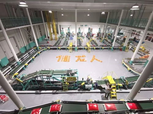 智能科技賦能傳統(tǒng)產(chǎn)業(yè) 漳州佳龍一站式包裝服務如何解放米廠工人雙手